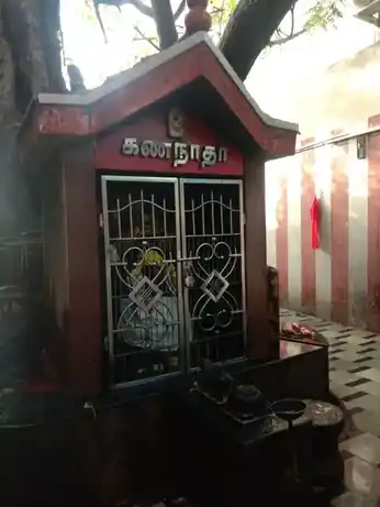 Arulmigu Anaikattu Thulukkanathamman Temple, Chinthathiripet, Chennai - 600002
