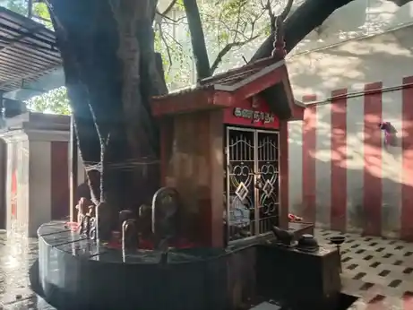 Arulmigu Anaikattu Thulukkanathamman Temple, Chinthathiripet, Chennai - 600002 அருள்மிகு அணைகட்டு துலுக்காணத்தம்மன் திருக்கோயில், சிந்தாதரிப்பேட்டை, சென்னை - 600002, Chennai - Ancient Temple Architecture and History Image 4