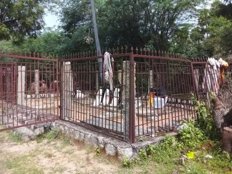 Arulmigu Anandavalliyamman Temple, Nallur - 622002 அருள்மிகு ஆனந்தவள்ளியம்மன் திருக்கோயில், Nallur - 622002, Pudukkottai - Ancient Temple Architecture and History Image 4