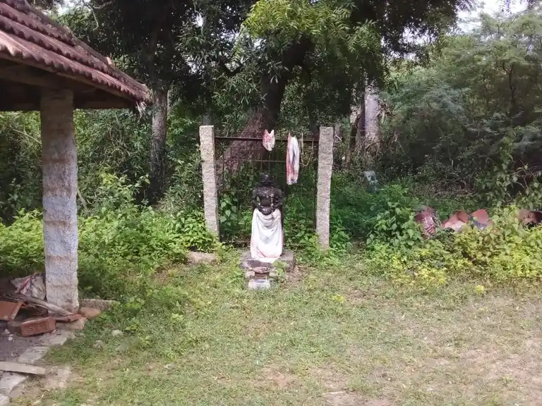 Arulmigu Anandavalliyamman Temple, Nallur - 622002 அருள்மிகு ஆனந்தவள்ளியம்மன் திருக்கோயில், Nallur - 622002, Pudukkottai - Ancient Temple Architecture and History Image 6
