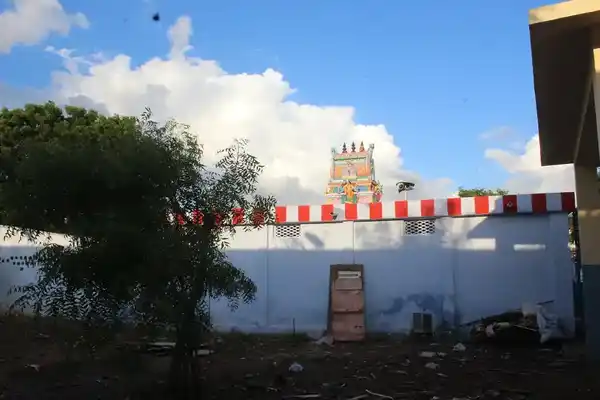 Arulmigu Anandhavalli Amman Temple, Middle Of The Street, Seevalaperi - 627351 அருள்மிகு ஆனந்தவல்லியம்மன் திருக்கோயில், Middle Of The Street, Seevalaperi - 627351, Tirunelveli - Ancient Temple Architecture and History Image 4