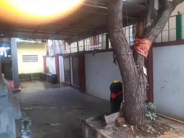 Arulmigu Anantha Muthu Mariyamman Temple, Ananthapuram, Chennai - 600063 அருள்மிகு ஆனந்த முத்துமாரி அம்மன் திருக்கோயில், ஆனந்தபுரம், சென்னை - 600063, Chengalpattu - Ancient Temple Architecture and History Image 2