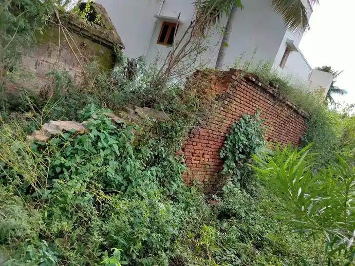 Arulmigu Ananthapadmanabaswami Temple, Ponnai - 632514 அருள்மிகு அனந்தபத்மநாபசுவாமி திருக்கோயில், பொன்னை - 632514, Vellore - Ancient Temple Architecture and History Image 6