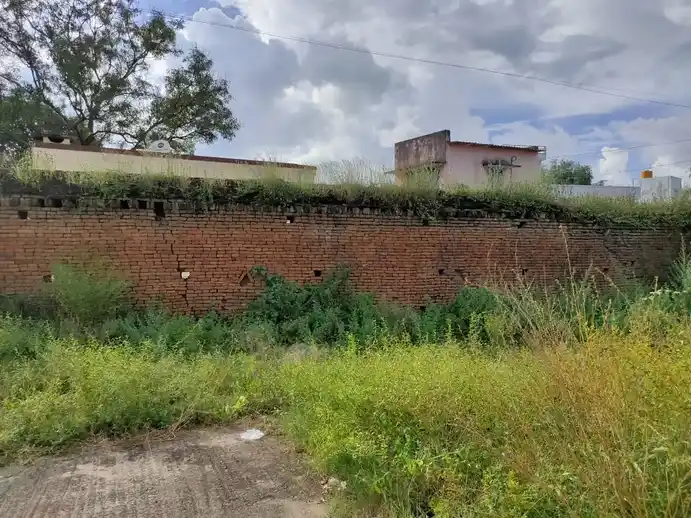 Arulmigu Ananthapadmanabaswami Temple, Ponnai - 632514 அருள்மிகு அனந்தபத்மநாபசுவாமி திருக்கோயில், பொன்னை - 632514, Vellore - Ancient Temple Architecture and History Image 8