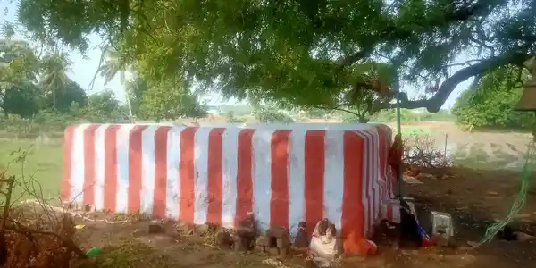 Arulmigu Ananthavalli Amman Temple, Near Sankarnagar, Keelathenkalam - 627357 அருள்மிகு ஆனந்த வள்ளியம்மன் திருக்கோயில், சங்கர் நகர் அருகில், கீழதென்கலம் - 627357, Tirunelveli - Ancient Temple Architecture and History Image 3