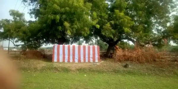 Arulmigu Ananthavalli Amman Temple, Near Sankarnagar, Keelathenkalam - 627357 அருள்மிகு ஆனந்த வள்ளியம்மன் திருக்கோயில், சங்கர் நகர் அருகில், கீழதென்கலம் - 627357, Tirunelveli - Ancient Temple Architecture and History Image 4