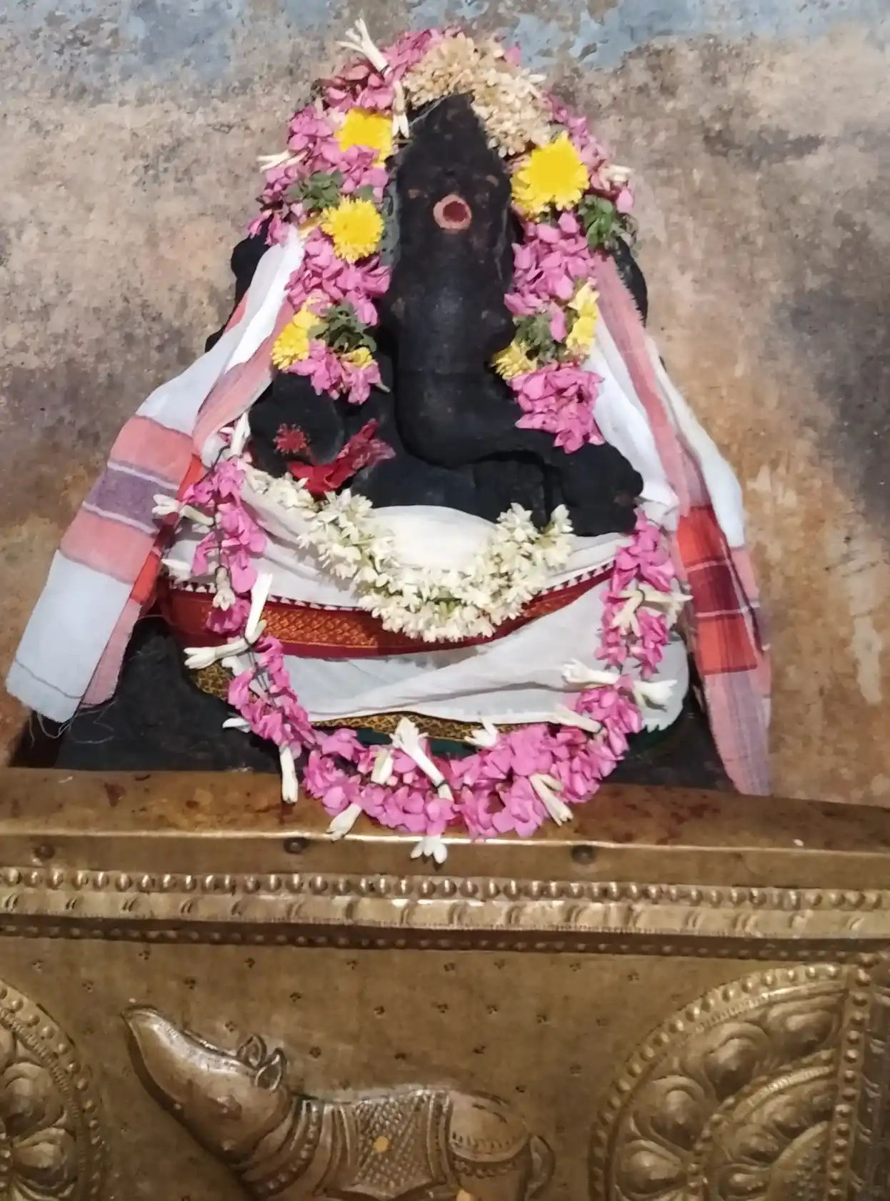 Arulmigu Ananthavinayagar Temple, Ammapettai - 614401