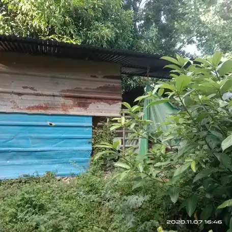 Arulmigu Anantheeshwarar Swamy Temple, Aathinangudi - 609702 Arulmigu Anantheeshwarar Swamy Temple, Aathinangudi - 609702, Nagapattinam - Ancient Temple Architecture and History Image 4