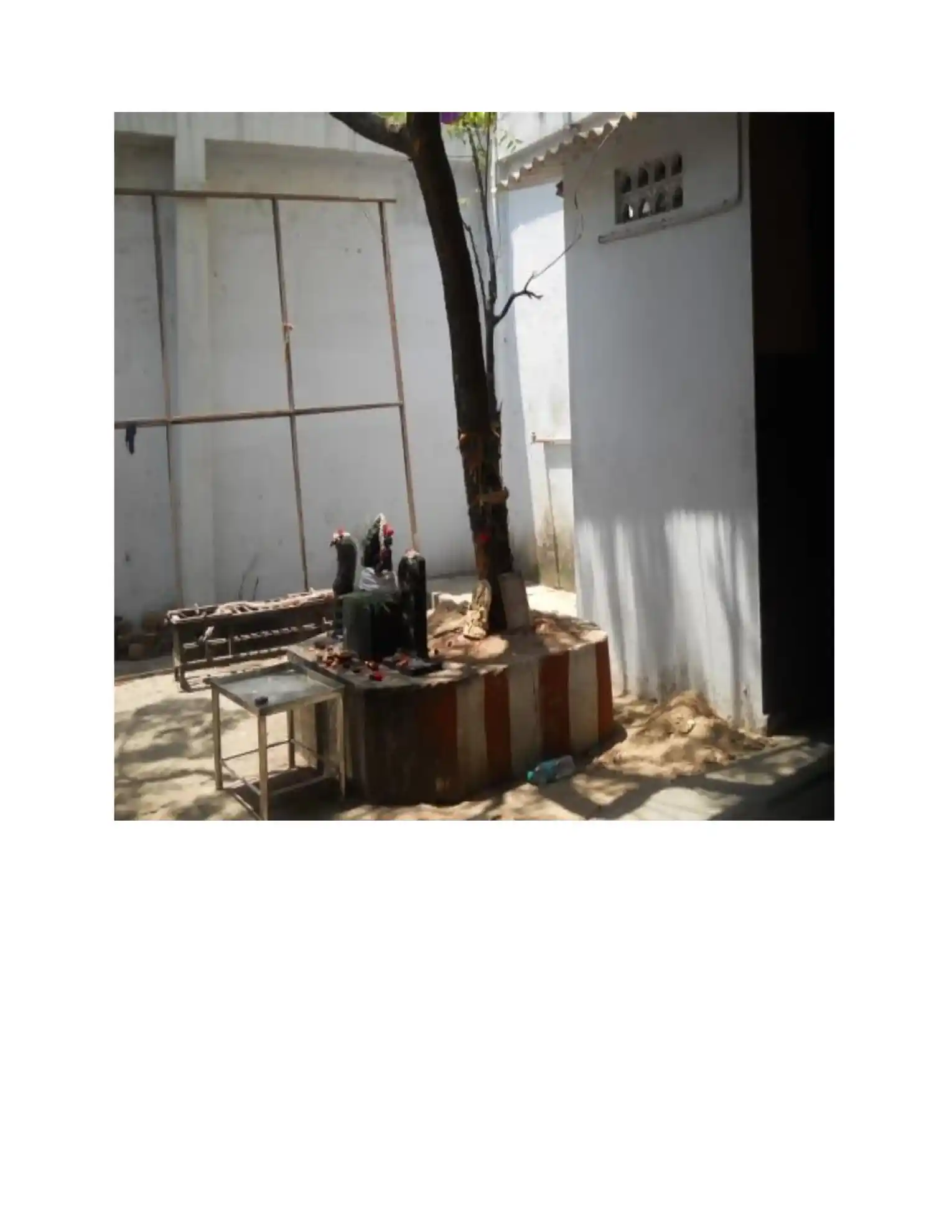 Arulmigu Anbupuri Amman Temple, Triplicane, Chennai - 600002 அருள்மிகு அன்புபுரியம்மன் திருக்கோயில், எல்லீஸ் ரோடு, சேப்பாக்கம், சென்னை - 600002, Chennai - Ancient Temple Architecture and History Image 3