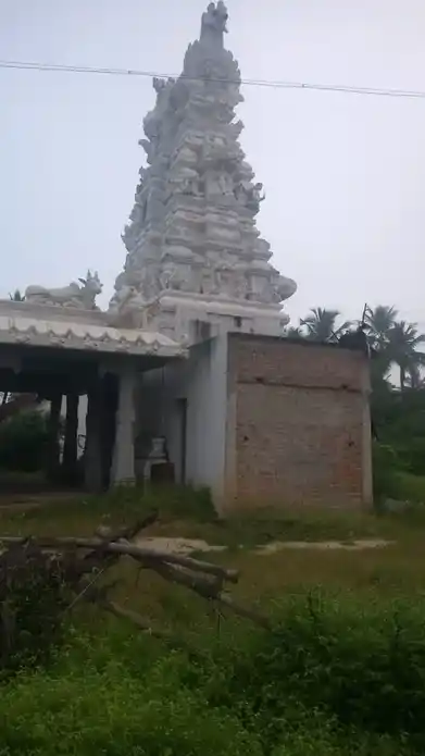 Arulmigu Anburiyamman Sametha Maruthalieeswarar Temple, Puthupettai - 635651