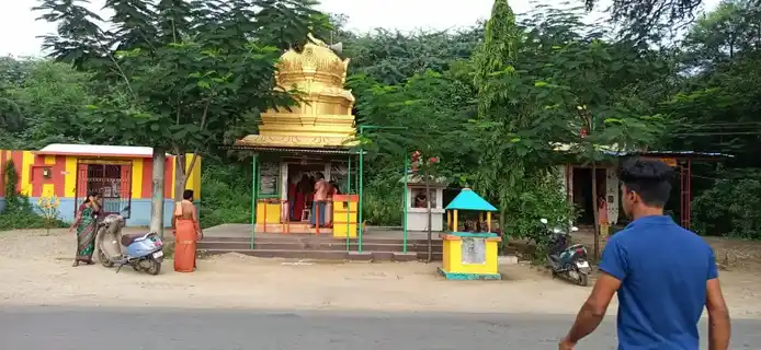 Arulmigu Ancheyar Temple, Salai Nagar - 635602 அருள்மிகு ஆஞ்சநேயர் திருக்கோயில், சாலைநகர் - 635602, Thirupathur - Ancient Temple Architecture and History Image 2