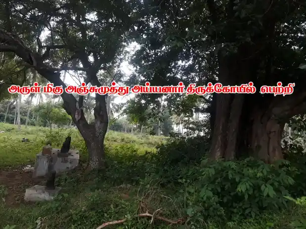 Arulmigu Anchumutuh Ayyanar Temple, Shenkottai - 627809 Arulmigu Anchumutuh Ayyanar Temple, Shenkottai - 627809, Tenkasi - Ancient Temple Architecture and History Image 3