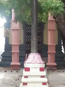 Arulmigu Angala Parameshwari Amman Temple, Sattankulam - 628712 அருள்மிகு அங்காளபரமேஸ்வரியம்மன் திருக்கோயில், Sattankulam - 628712, Thoothukudi - Ancient Temple Architecture and History Image 4