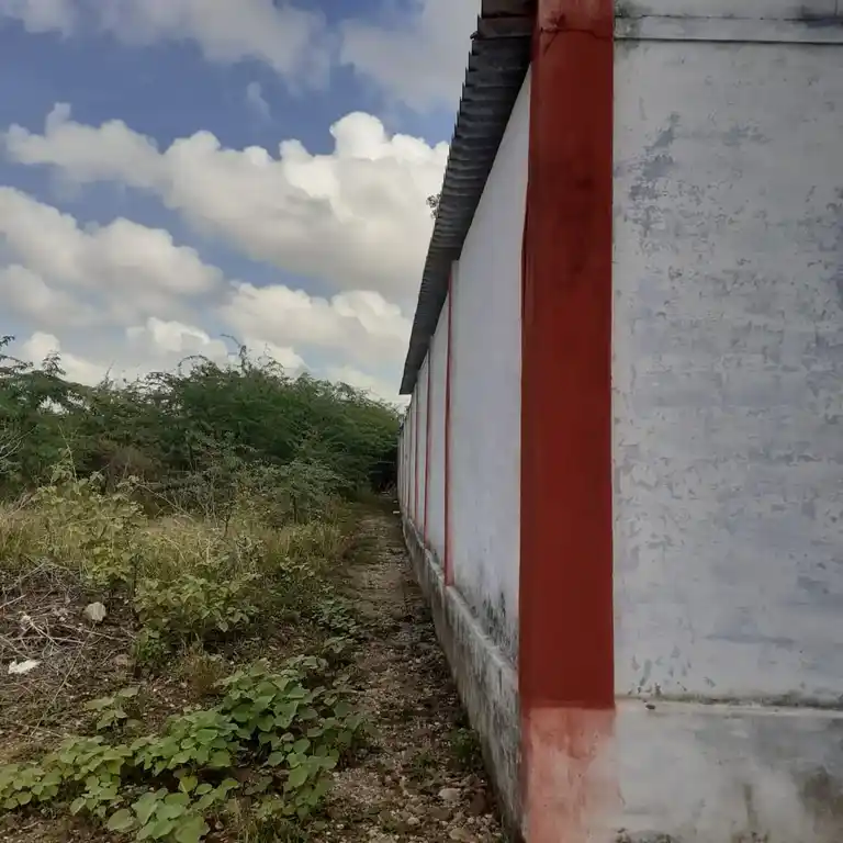 Arulmigu Angala Parameshwariamman Temple, Kayathar - 628952