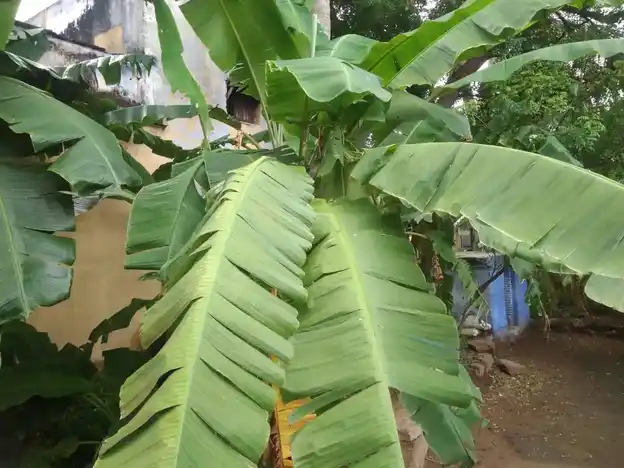 Arulmigu Angalaeswari Temple, Jeyamangalam - 625603 அருள்மிகு அங்காளஈஸ்வரி திருக்கோயில், Jeyamangalam - 625603, Theni - Ancient Temple Architecture and History Image 2