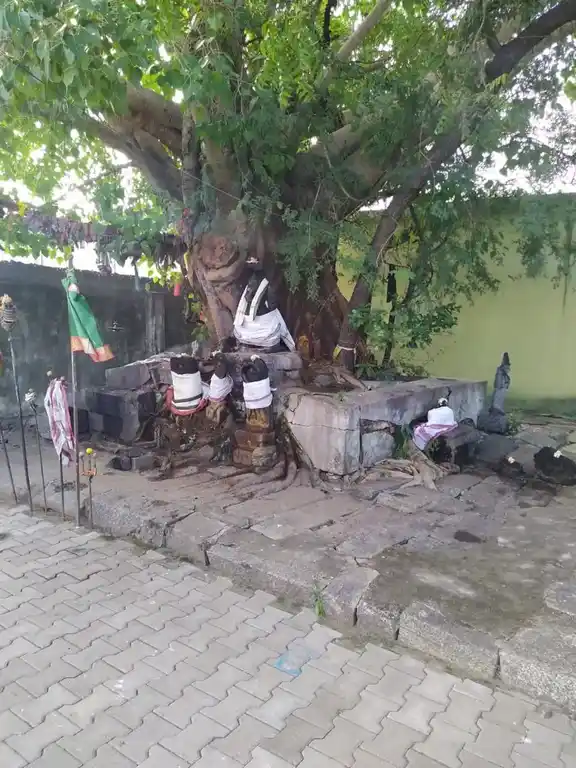 Arulmigu Angalamman And Kathalingaeswarar Temple, Ko.Pavazhangudi - 606104 அருள்மிகு அங்காளம்மன் சமேத காத்தலிங்கேஸ்வரர் திருக்கோயில், கோ.பவழங்குடி - 606104, Cuddalore - Ancient Temple Architecture and History Image 4
