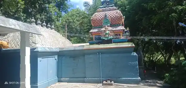 Arulmigu Angalamman Temple, Ammapettai - 607106 அருள்மிகு அங்காளம்மன் திருக்கோயில், Ammapettai - 607106, Cuddalore - Ancient Temple Architecture and History Image 5