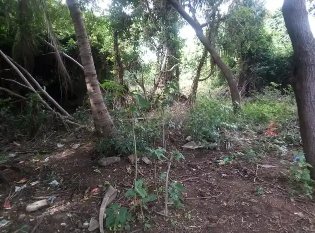 Arulmigu Angalamman Temple, Ayyambalayam - 621006