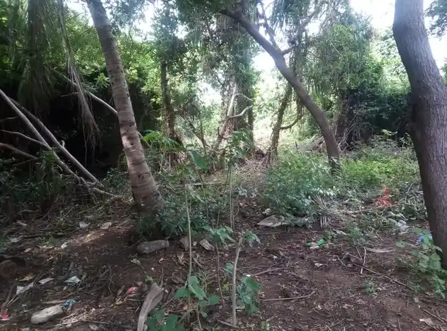 Arulmigu Angalamman Temple, Ayyambalayam - 621006 Arulmigu angalamman Temple, Ayyambalayam - 621006, Thiruchirappalli - Ancient Temple Architecture and History Image 2