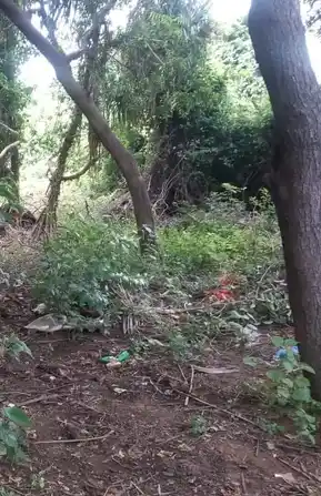 Arulmigu Angalamman Temple, Ayyambalayam - 621006 Arulmigu angalamman Temple, Ayyambalayam - 621006, Thiruchirappalli - Ancient Temple Architecture and History Image 3