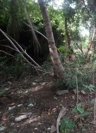 Arulmigu Angalamman Temple, Ayyambalayam - 621006 Arulmigu angalamman Temple, Ayyambalayam - 621006, Thiruchirappalli - Ancient Temple Architecture and History Image 4