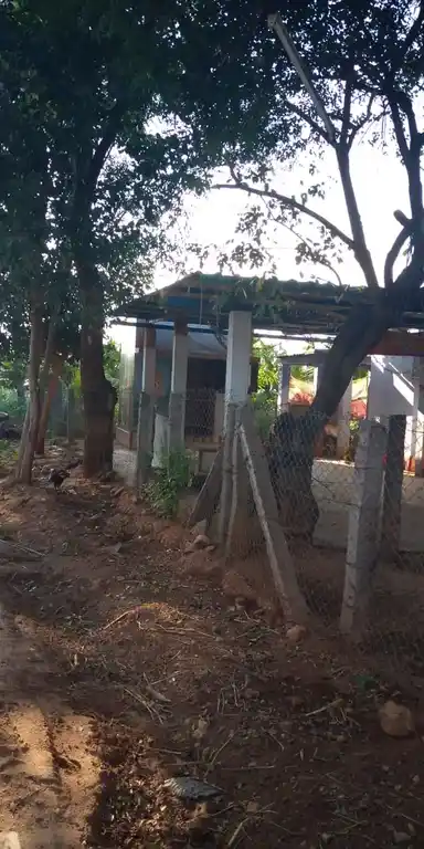 Arulmigu Angalamman Temple, Cumbum - 625516 அருள்மிகு அங்காளம்மன் திருக்கோயில், Cumbum - 625516, Theni - Ancient Temple Architecture and History Image 4