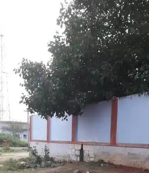 Arulmigu Angalamman Temple, Paruthipalli - 637503 அருள்மிகு அங்காளம்மன் திருக்கோயில், Paruthipalli - 637503, Namakkal - Ancient Temple Architecture and History Image 6