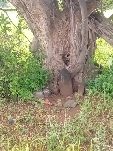 Arulmigu Angalamman Temple, Reddaikinaru - 638752