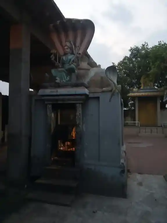 Arulmigu Angalamman Temple, Thirupathiripuliyur, Cuddalore - 607002 அருள்மிகு அங்காளம்மன் திருக்கோயில், திருப்பாதிரிப்புலியூர், கடலூர் - 607002, Cuddalore - Ancient Temple Architecture and History Image 7