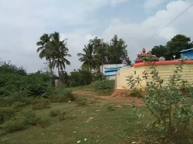 Arulmigu Angalamman Temple, Thiruvappur - 622003 அருள்மிகு அங்காளம்மன் திருக்கோயில், திருவப்பூர் - 622003, Pudukkottai - Ancient Temple Architecture and History Image 4