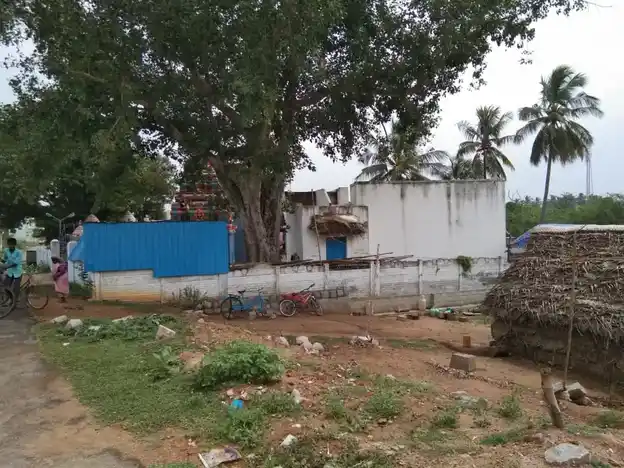 Arulmigu Angalamman Temple, Thiruvappur - 622003 அருள்மிகு அங்காளம்மன் திருக்கோயில், திருவப்பூர் - 622003, Pudukkottai - Ancient Temple Architecture and History Image 7