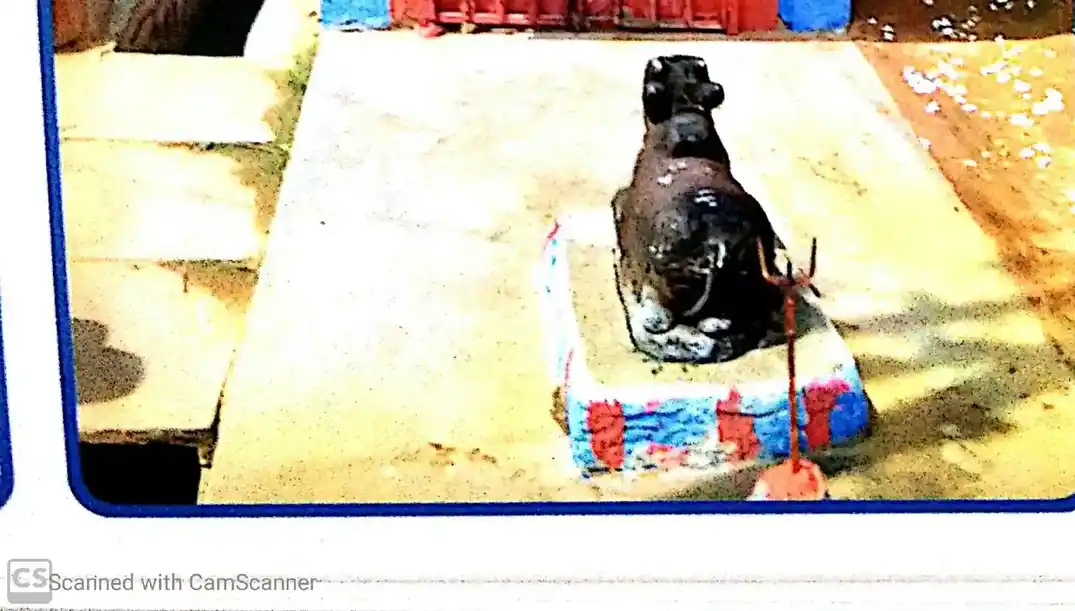 Arulmigu Angalamman, Veerapathiraswamy Temple, Rasingapuram - 625528 Arulmigu Angalamman, Veerapathiraswamy Temple, Rasingapuram - 625528, Theni - Ancient Temple Architecture and History Image 2