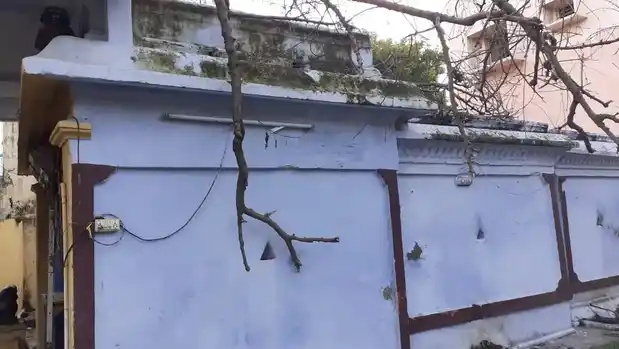 Arulmigu Angalaparameshwari Temple, Walajabad - 631605 அருள்மிகு அங்காள பரமேஸ்வரி திருக்கோயில், வாலாஜாபாத் - 631605, Kancheepuram - Ancient Temple Architecture and History Image 5