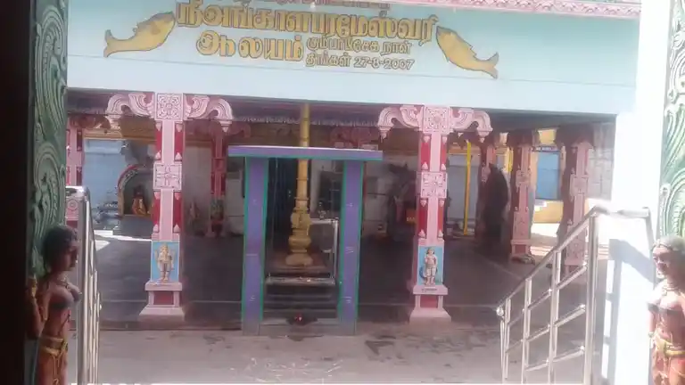 Arulmigu Angalaparameswari Temple, Edappady - 637102 அருள்மிகு அங்காளபரமேஸ்வரி திருக்கோயில், Edappady - 637102, Salem - Ancient Temple Architecture and History Image 3