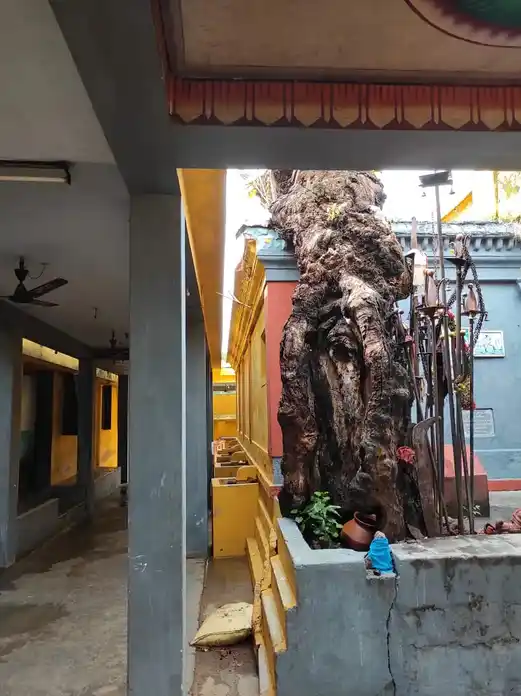 Arulmigu Angalaperameswariyamman Temple, Maruthoor - 639107 Arulmigu Angalaperameswariyamman Temple, Maruthoor - 639107, Karur - Ancient Temple Architecture and History Image 7