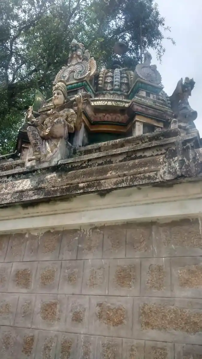 Arulmigu Angallamman Temple, Kinathukadavu - 642109 அருள்மிகு அங்காளம்மன் திருக்கோயில், கிணத்துக்கடவு - 642109, Coimbatore - Ancient Temple Architecture and History Image 4