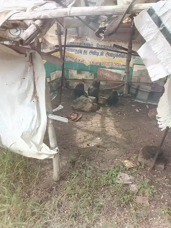 Arulmigu Angamuthu Temple, Ottakoil - 621705 அருள்மிகு அங்கமுத்து ஆலயம், Ottakoil - 621705, Ariyalur - Ancient Temple Architecture and History Image 4