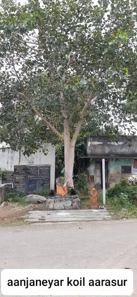 Arulmigu Anjanayer Temple, Arasur - 604408