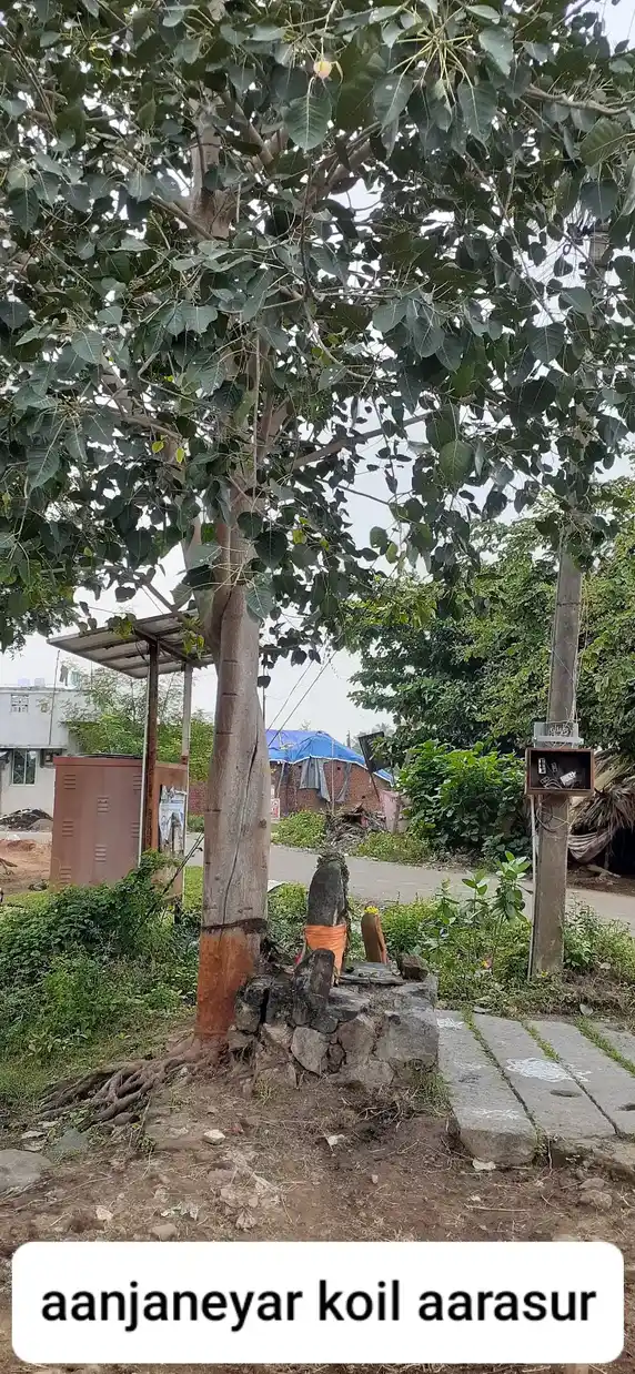 Arulmigu Anjanayer Temple, Arasur - 604408 அருள்மிகு ஆஞ்சநேயர் திருக்கோயில், Arasur - 604408, Tiruvannamalai - Ancient Temple Architecture and History Image 2