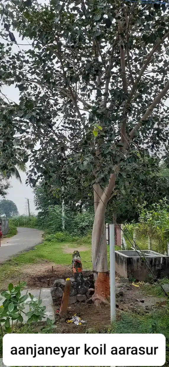 Arulmigu Anjanayer Temple, Arasur - 604408 அருள்மிகு ஆஞ்சநேயர் திருக்கோயில், Arasur - 604408, Tiruvannamalai - Ancient Temple Architecture and History Image 4