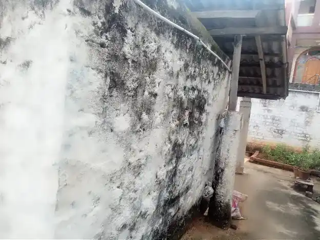 Arulmigu Anjaneyar and Anumantha Narayana Temple, Karimangalam Road, Kaveripatnam - 635112 அருள்மிகு ஆஞ்சநேயர் மற்றும் அனுமந்த நாராயணா திருக்கோயில், காவேரிப்பட்டிணம் - 635112, Krishnagiri - Ancient Temple Architecture and History Image 4