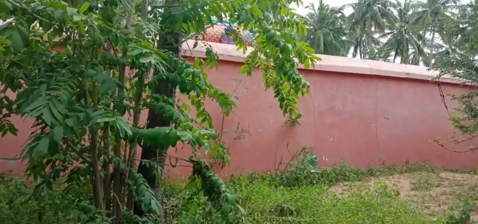 Arulmigu Anjaneyar Temple, Thattapparai - 632601 அருள்மிகு ஆஞ்சநேயர் திருக்கோயில், தட்டப் பாரை - 632601, Vellore - Ancient Temple Architecture and History Image 4