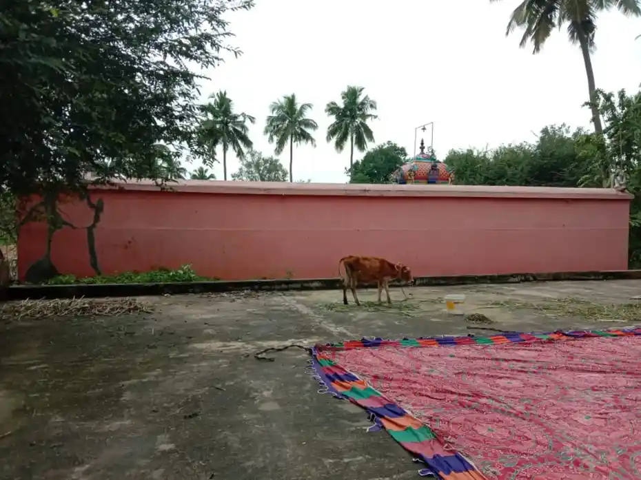 Arulmigu Anjaneyar Temple, Thattapparai - 632601 அருள்மிகு ஆஞ்சநேயர் திருக்கோயில், தட்டப் பாரை - 632601, Vellore - Ancient Temple Architecture and History Image 5