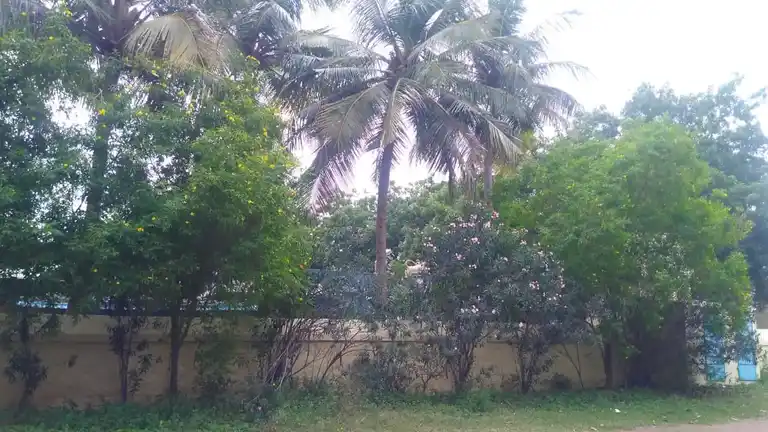 Arulmigu Anjuthambiran Temple, Nochiyam - 621212 அருள்மிகு அஞ்சுததம்பிரான் திருக்கோயில், Nochiyam - 621212, Perambalur - Ancient Temple Architecture and History Image 3