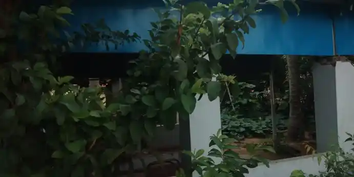 Arulmigu Ankalaamman Temple, Murunkapettai - 620101 அருள்மிகு அங்காளம்மன் திருக்கோயில், Murunkapettai - 620101, Thiruchirappalli - Ancient Temple Architecture and History Image 2