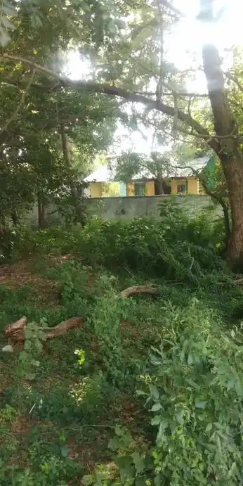 Arulmigu Ankayee Amman Temple, Mutharasanallur - 620101 Temple