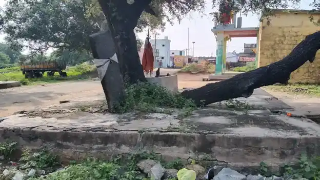 Arulmigu Annakodiyamman Temple, Thottiyam - 606201 அருள்மிகு அன்னக்கொடியம்மன் திருக்கோயில், Thottiyam, Thottiyam - 606201, Kallakurichi - Ancient Temple Architecture and History Image 4