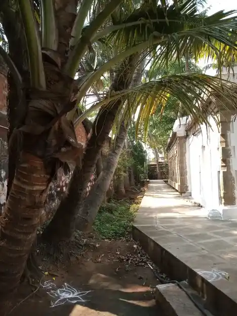 Arulmigu Annamalai Nathar Temple Kadayanallur, Kadayanallur - 627751 அருள்மிகு அண்ணாமலைநாதர் திருக்கோயில், Kadayanallur - 627751, Tenkasi - Ancient Temple Architecture and History Image 4