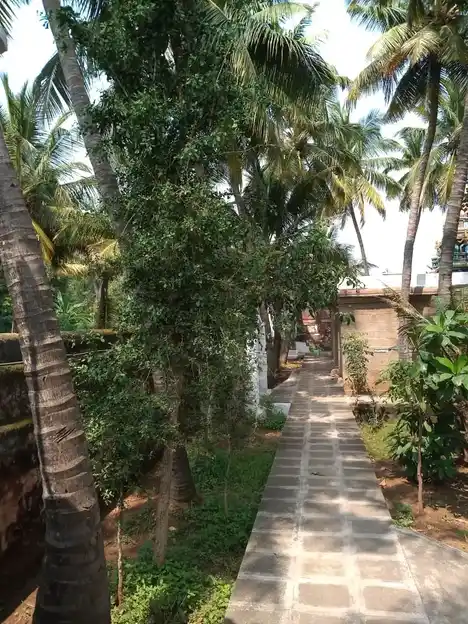 Arulmigu Annamalai Nathar Temple Kadayanallur, Kadayanallur - 627751 அருள்மிகு அண்ணாமலைநாதர் திருக்கோயில், Kadayanallur - 627751, Tenkasi - Ancient Temple Architecture and History Image 5