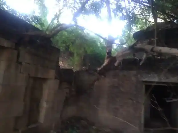 Arulmigu Annamalaiyar Temple, Thiruvilaiyattam - 609306 அருள்மிகு அண்ணாமலையார் திருக்கோயில், Thiruvilaiyattam - 609306, Mayiladuthurai - Ancient Temple Architecture and History Image 6